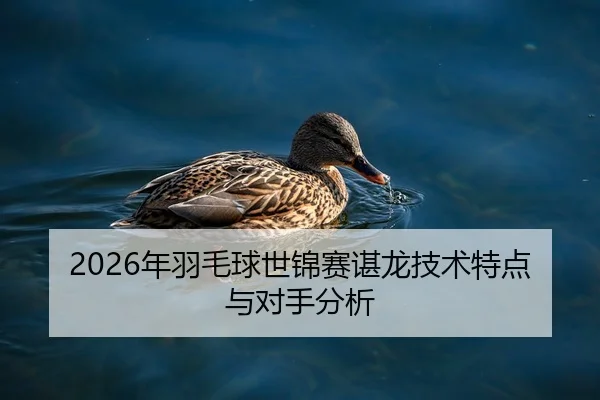 2026年羽毛球世锦赛谌龙技术特点与对手分析