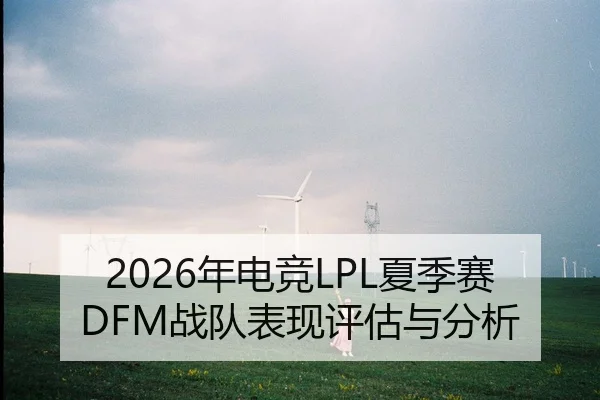 2026年电竞LPL夏季赛DFM战队表现评估与分析
